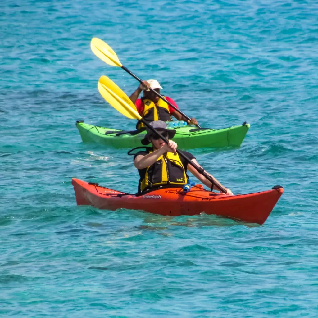 dsffdswfdsafdsafdsafdsafdsa